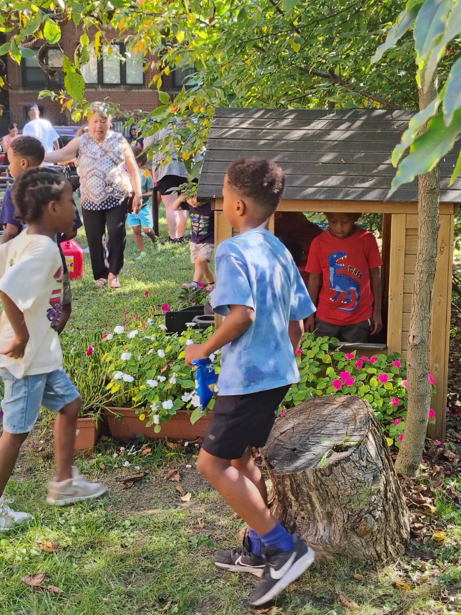 Children exploring the garden