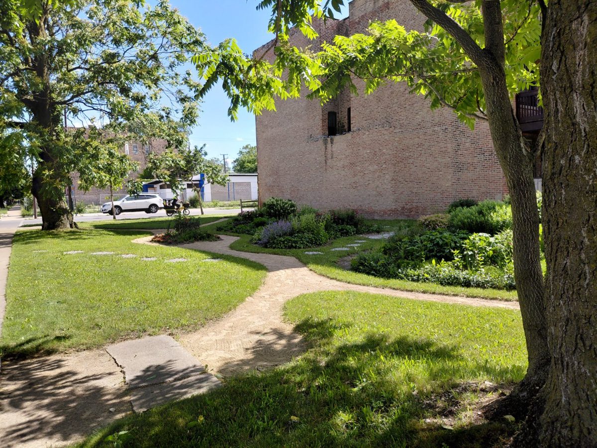 Garden path through the prairie planting