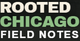 Rooted Chicago Field Notes